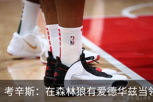 考辛斯：在森林狼有爱德华兹当领袖 三球能得到成长并且更成熟