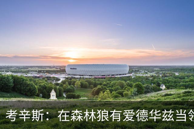 考辛斯：在森林狼有爱德华兹当领袖 三球能得到成长并且更成熟